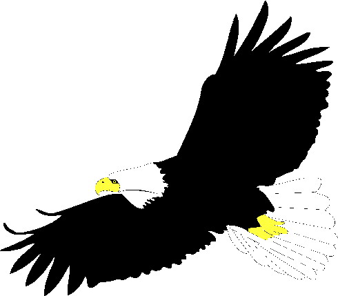 Eagle clip art