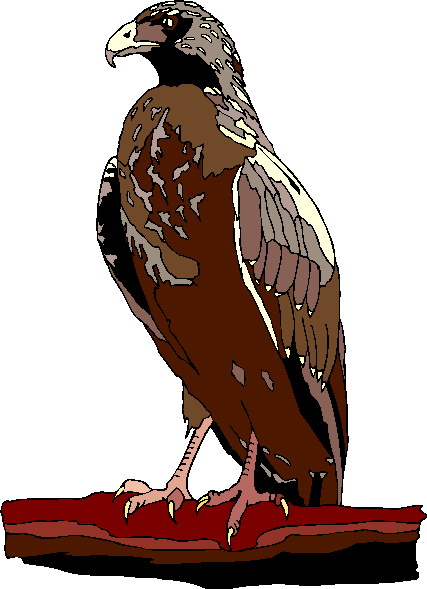 Eagle clip art