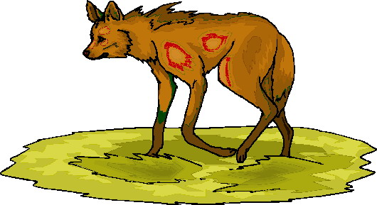 Foxes clip art