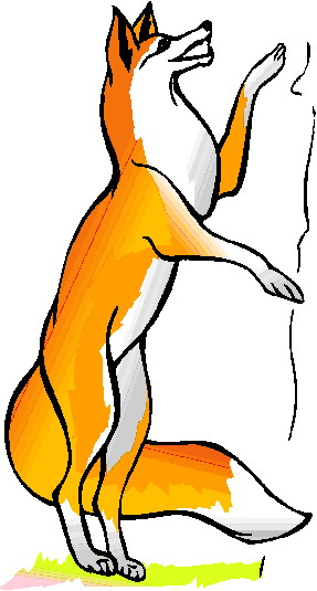 Foxes clip art