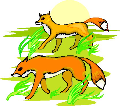 Foxes clip art