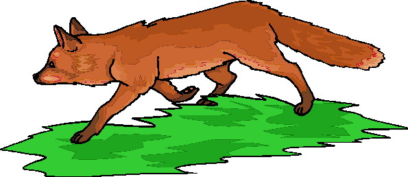 Foxes clip art