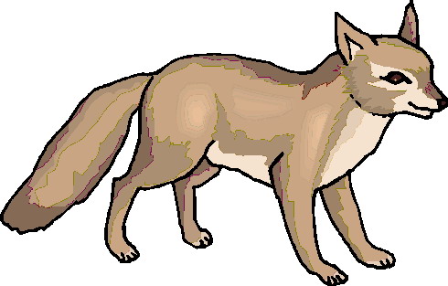 Foxes clip art