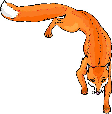 Foxes clip art