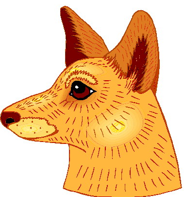 Foxes clip art