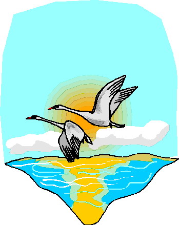 Geese clip art