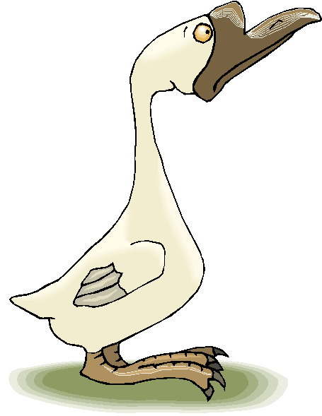 Geese clip art