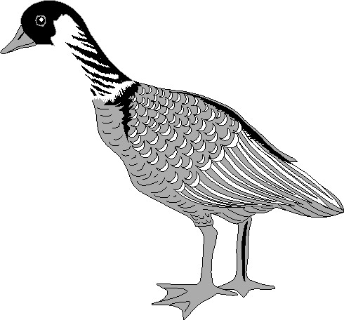 Geese clip art