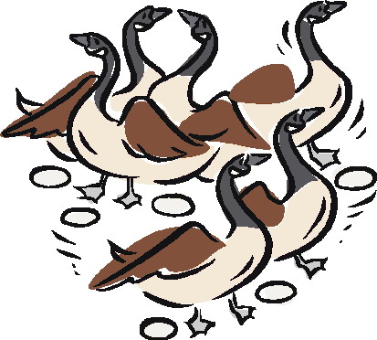 Geese clip art