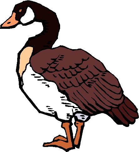 Geese clip art