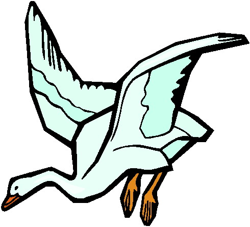 Geese clip art