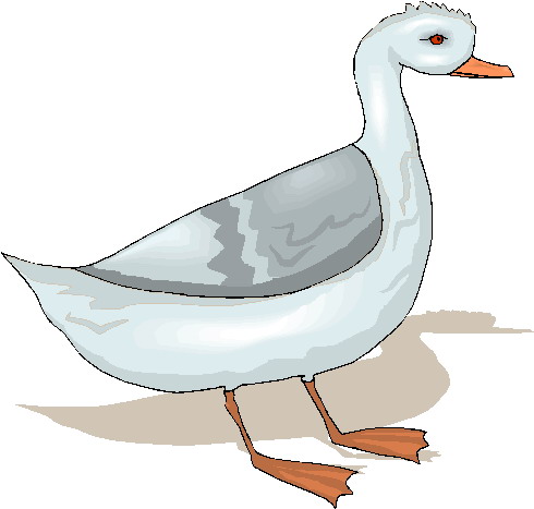 Geese clip art