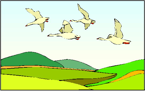 Geese clip art