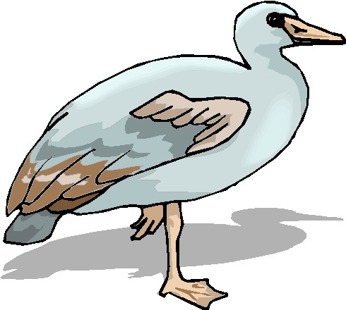 Geese clip art