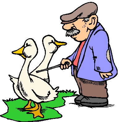 Geese clip art