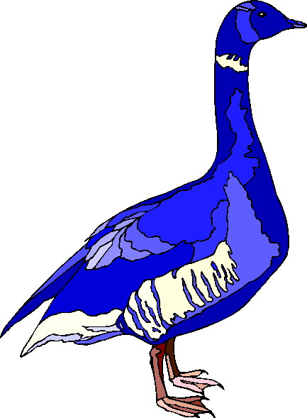 Geese clip art