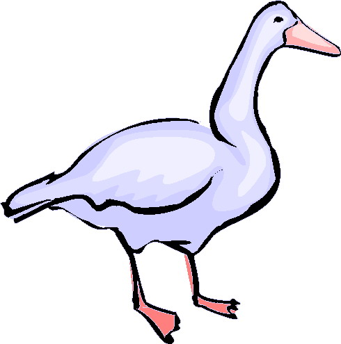 Geese clip art