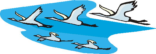 Geese clip art