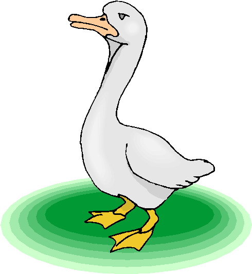 Geese clip art