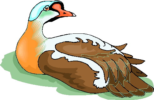 Geese clip art