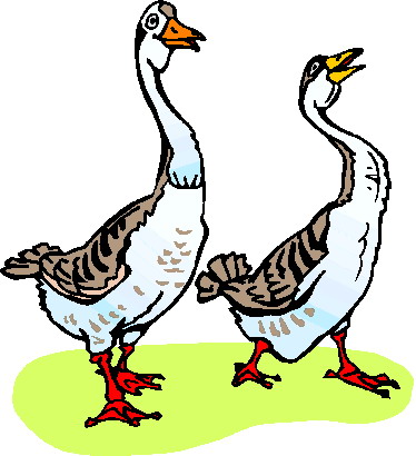 Geese clip art