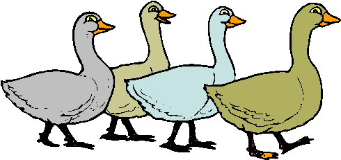 Geese clip art