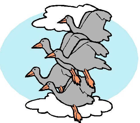 Geese clip art