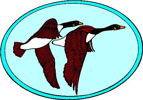 Geese clip art