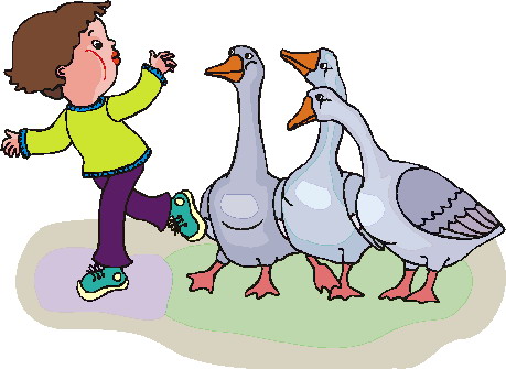 Geese clip art