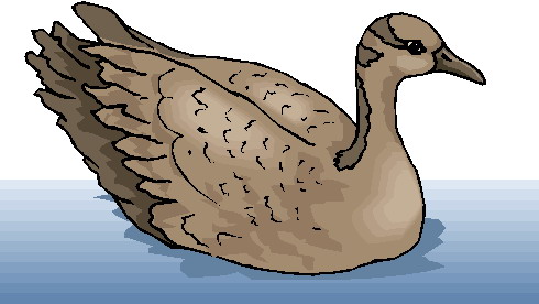 Geese clip art