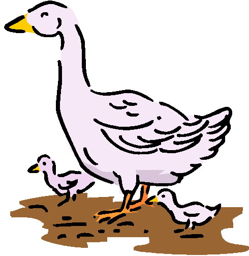 Geese clip art