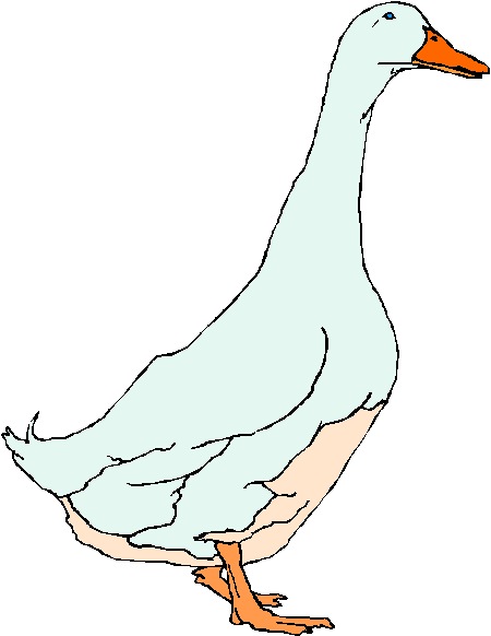 Geese clip art