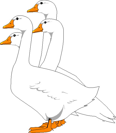 Geese clip art