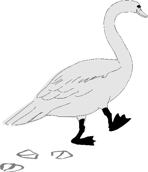 Geese clip art