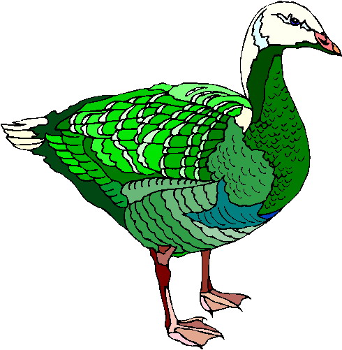 Geese clip art