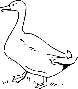 Geese clip art