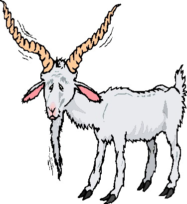 Goats clip art