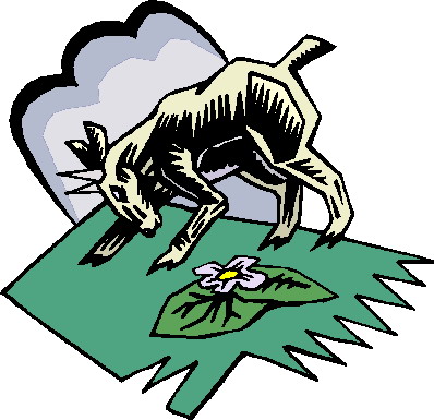 Goats clip art