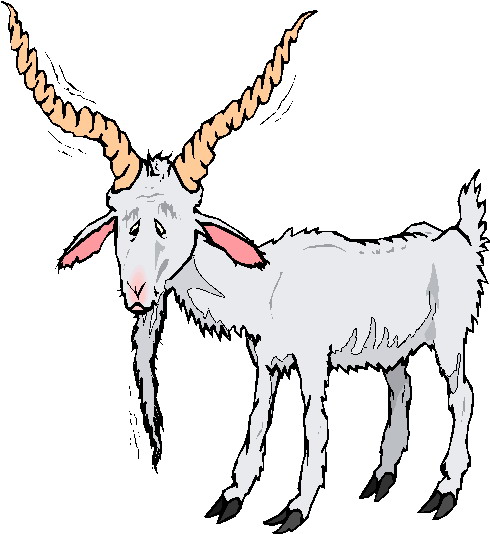 Goats clip art