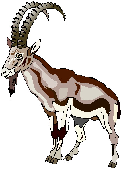 Goats clip art