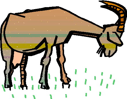 Goats clip art