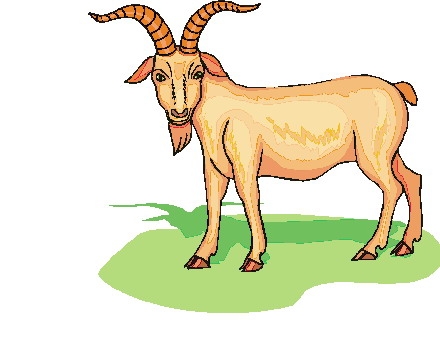 Goats clip art