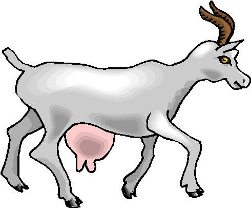 Goats clip art