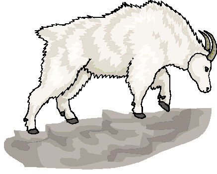 Goats clip art