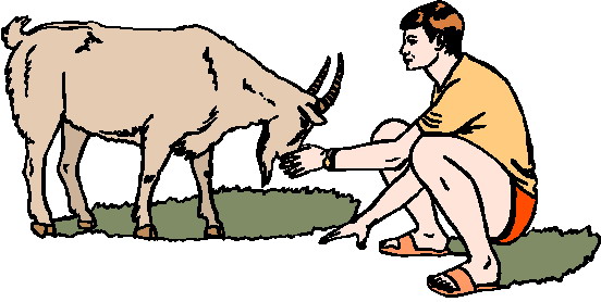 Goats clip art