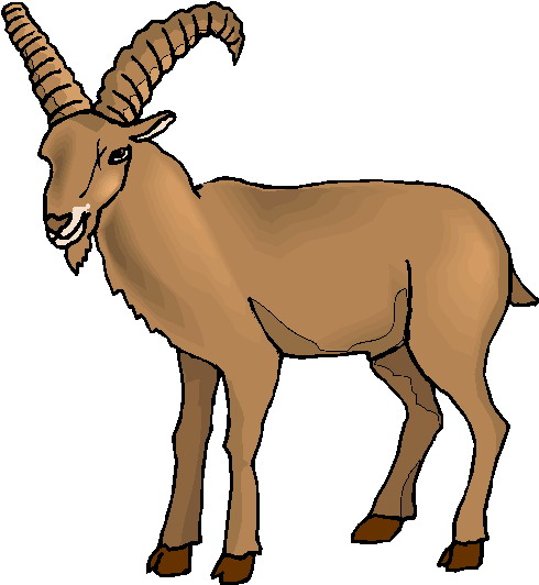 Goats clip art