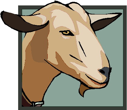 Goats clip art