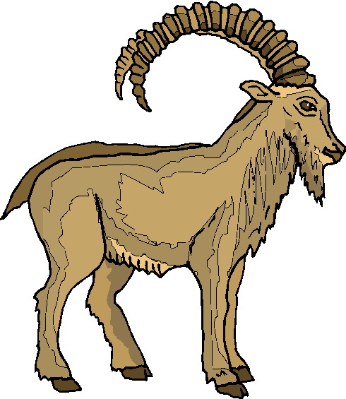 Goats clip art