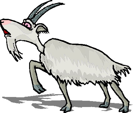 Goats clip art