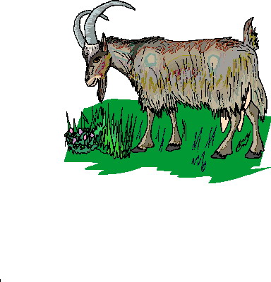 Goats clip art